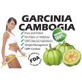 Extrato padrão da guta do Garcinia Cambogia, ácido Hydroxycitric (HCA) 60% para a perda de peso